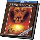 African Cats Mèo Châu Phi