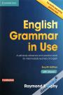 English Grammar In Use (4th Edition)