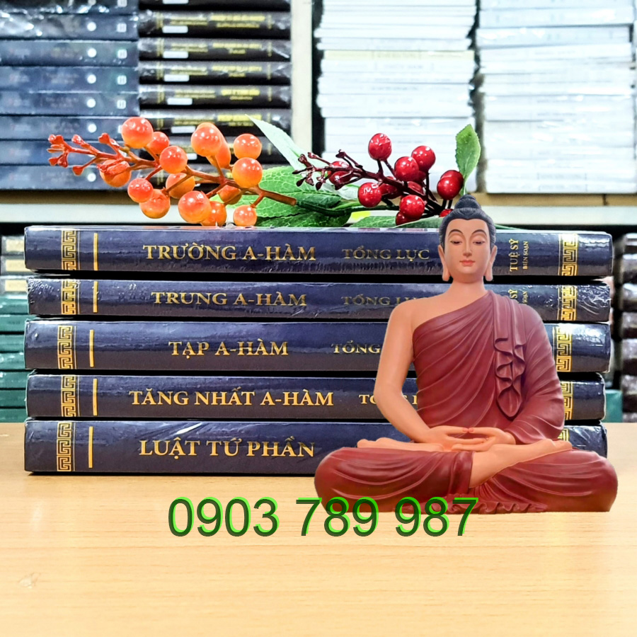 THANH VĂN TẠNG TỔNG LỤC - 5Q