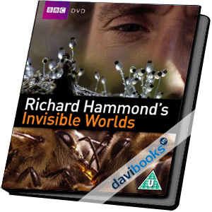 Invisible World Thế Giới Sinh Vật Bé Nhỏ