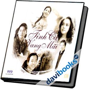 Tình Ta Vang Mãi