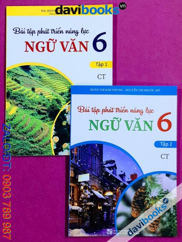 Combo 2Q: Bài Tập Phát Triển Năng Lực Ngữ Văn 6 (Bộ SGK Chân Trời ST)