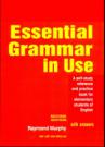 Essential Grammar In Use With Answear Second Edition