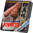 Karate The Strongest karate