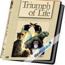 Triumph of Life - Chiến Thắng Sự Sống