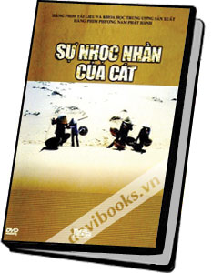 Sự Nhọc Nhằn Của Cát