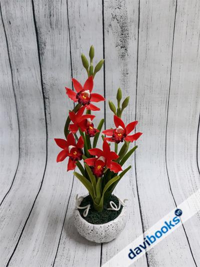 (ad11509) Chậu Hoa Địa Lan