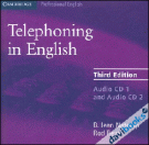 Professional English (Telephoning in English) 