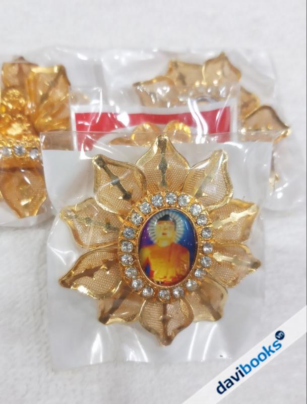 (ad11166) Cài Áo Kim Loại Ấn Độ