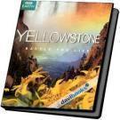Yellowstone Battle for Life - Cuộc Chiến Sinh Tồn