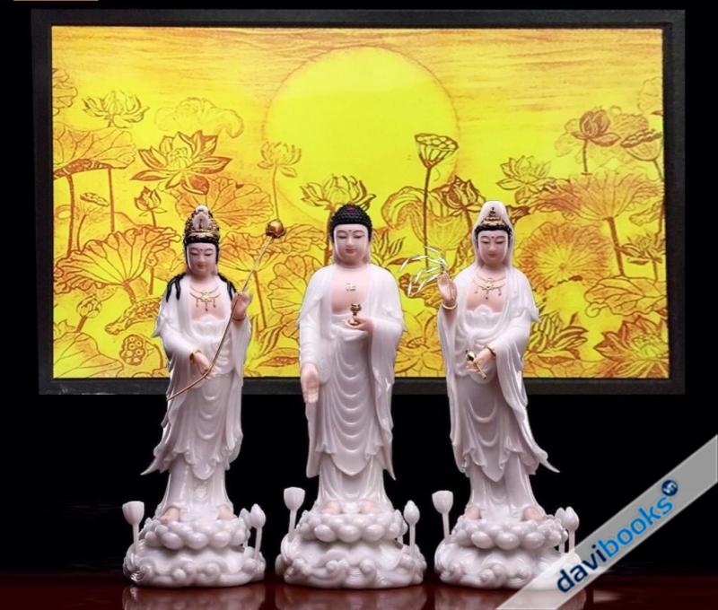 (ad11386) Sen Chữ Nhật