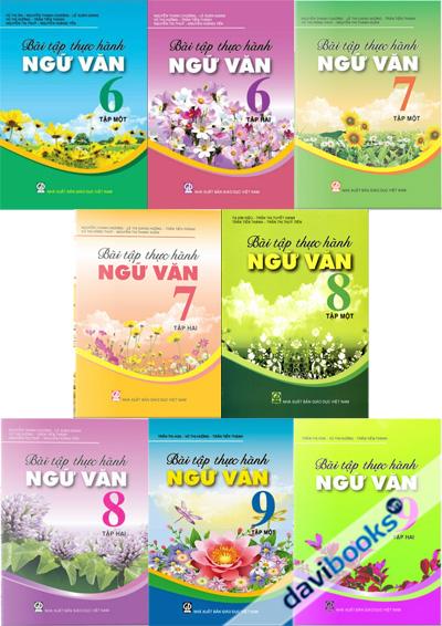 Bài Tập Thực Hành Ngữ Văn Lớp 6 - 9 (Bộ 8 Cuốn)