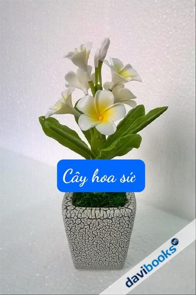 (ad11521) Cây Hoa Sứ