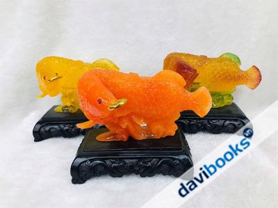 (ad5326) Cá Kim Long Ngậm Tiền