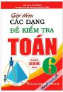 Giới Thiệu Các Dạng Đề Kiểm Tra Toán 6