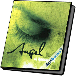 DJ Hoàng Anh - Angel
