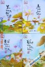 Sbooks Collection: “Lắng Nghe Tĩnh Lặng” (Combo 4 Quyển)