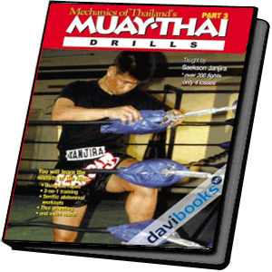 Mechanics of Thailands Muay Thai 