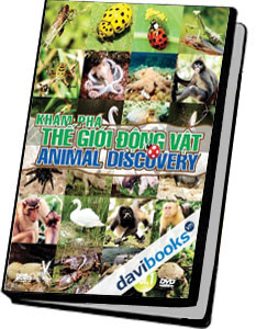 Khám Phá Thế Giới Động Vật - Animal Discovery (Vol. 1) 